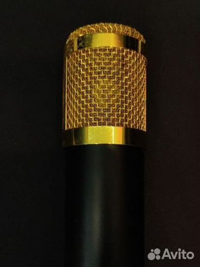 Микрофон BM800