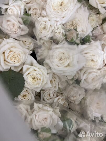 Продажа роз оптом