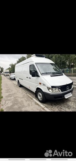 Водитель на своем рефрижераторе sprinter