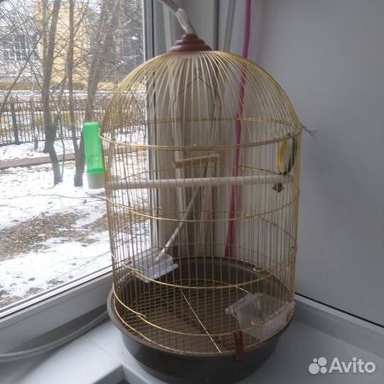 Клетка для попугая