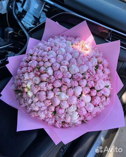 Букет из 101 пион