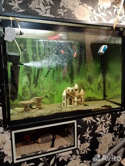 Аквариум