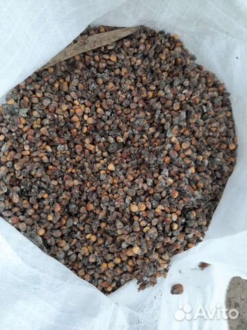 Зерноотходы