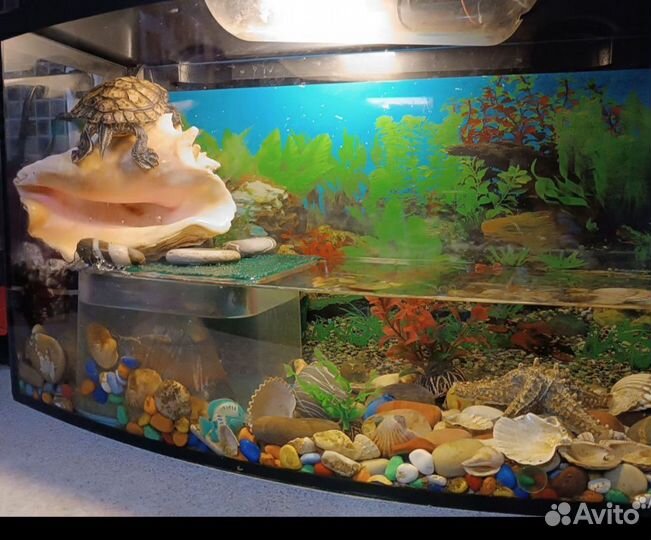 Аквариум