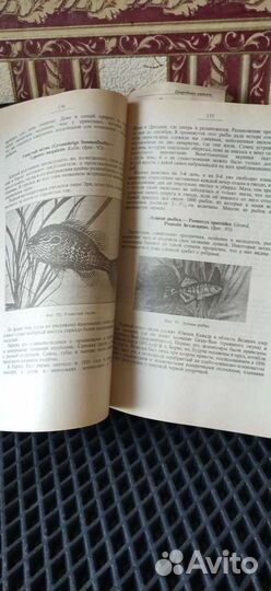 Аквариум-энциклопедия, справочник