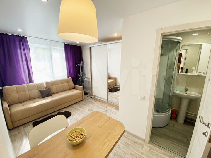 Квартира-студия, 23,8 м², 4/9 эт.