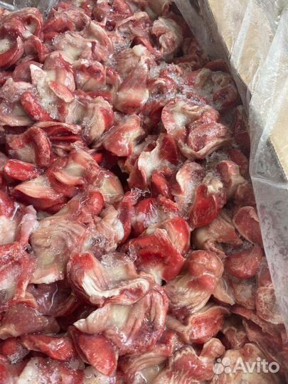 Корм для собак и кошек