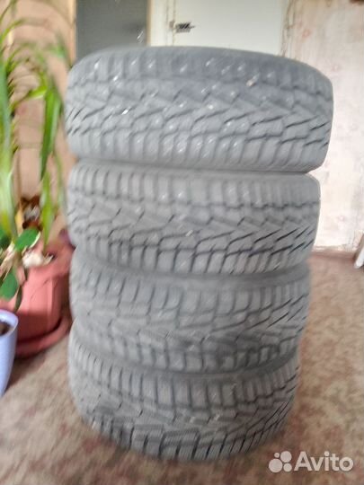 Roadstone Winguard 205/55 R16