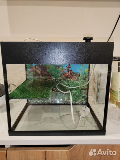 Аквариум