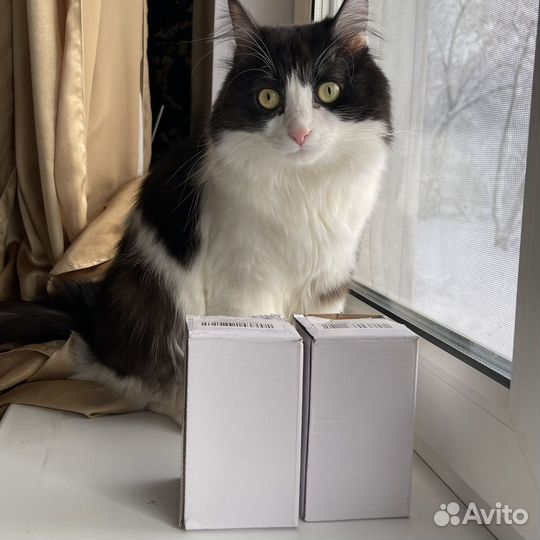 Неваляшка с палочками мататаби