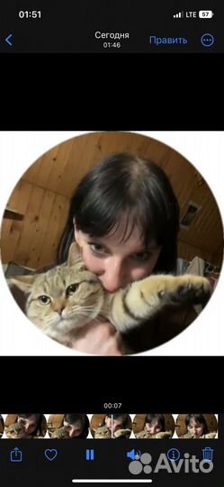 Скотиш страйт вязка