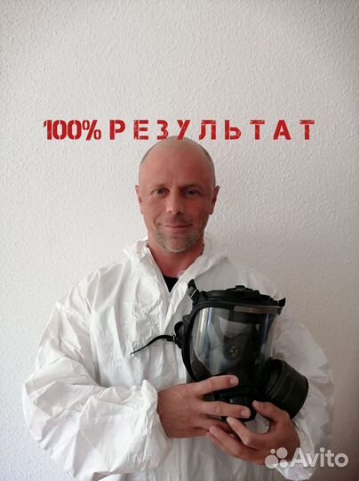 Уничтожение тараканов клопов блох крыс дезинфекция