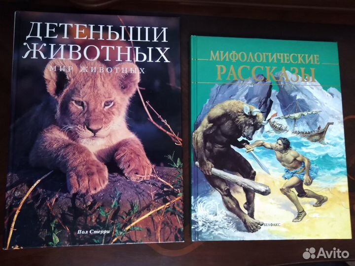 Книги (большого размера)
