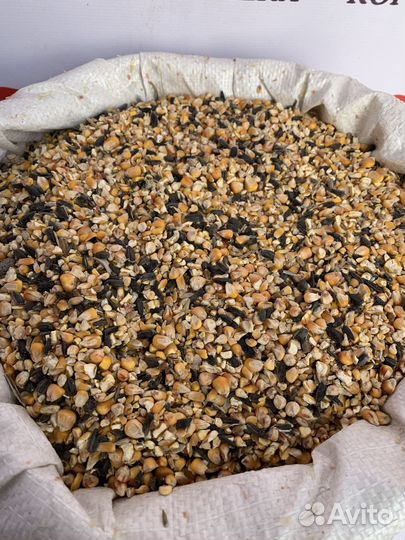 Зерносмесь Цельная не дроблёная