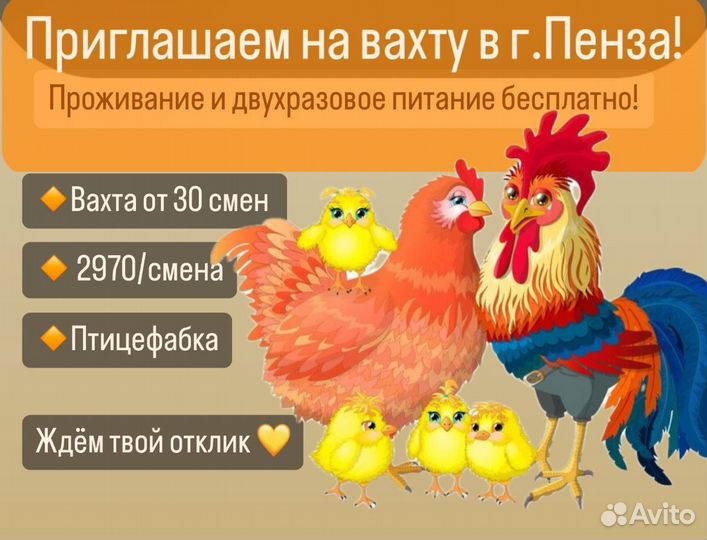 Упаковщик на Птицефабрику/ Вахта проживаниепитание