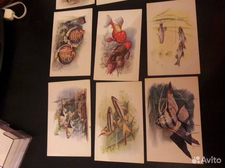 Продам открытки