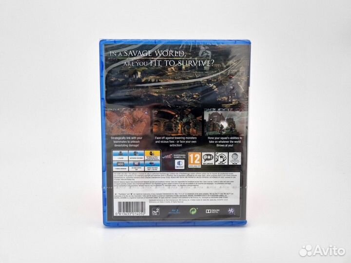 Natural Doctrine (PS4, английская версия) Новый