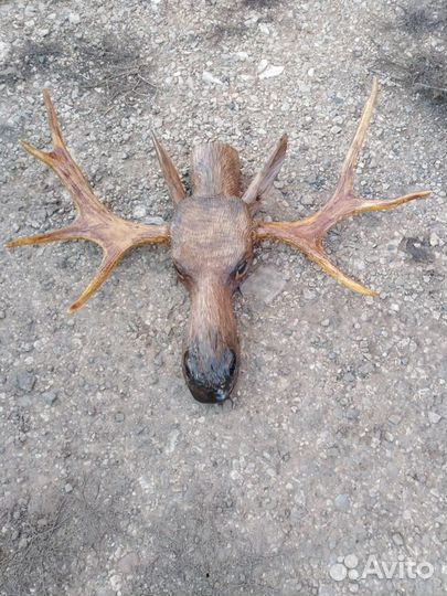 Вешалка голова лося