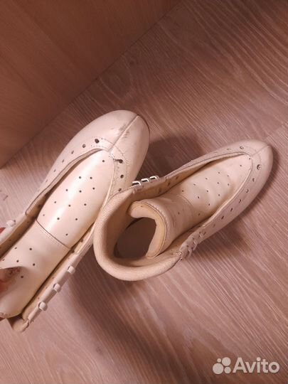 Фигурные ботинки edea chorus