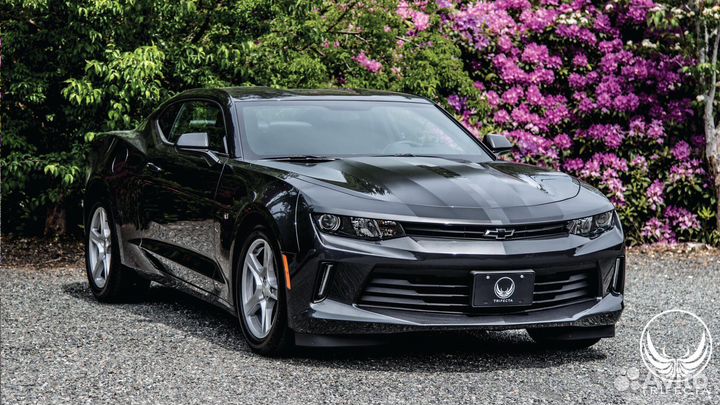 Поршни Chevrolet Camaro a20nft 2.0 л турбо