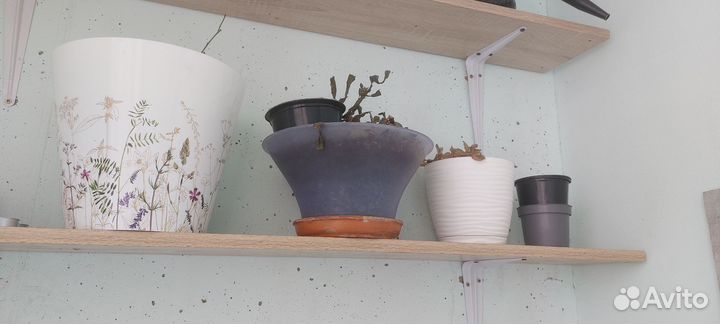 Горшки для цветов и растений