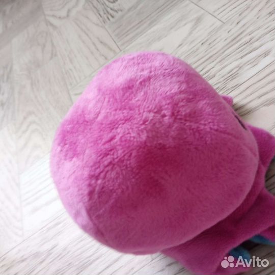 Асминожка индус