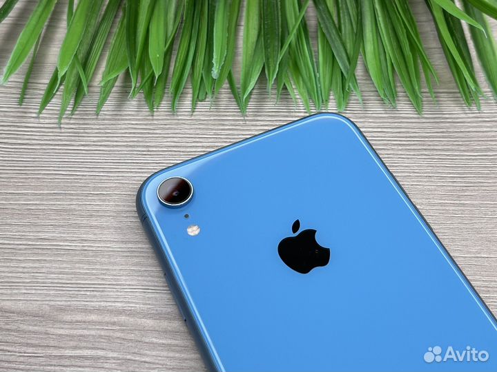 iPhone XR 64GB Blue