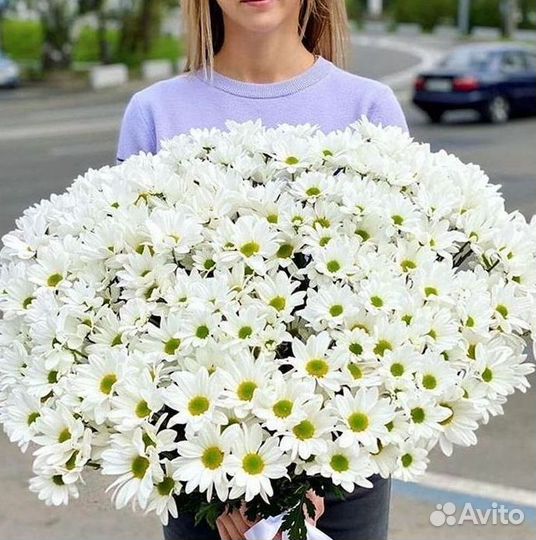 Хризантема Букеты с доставкой