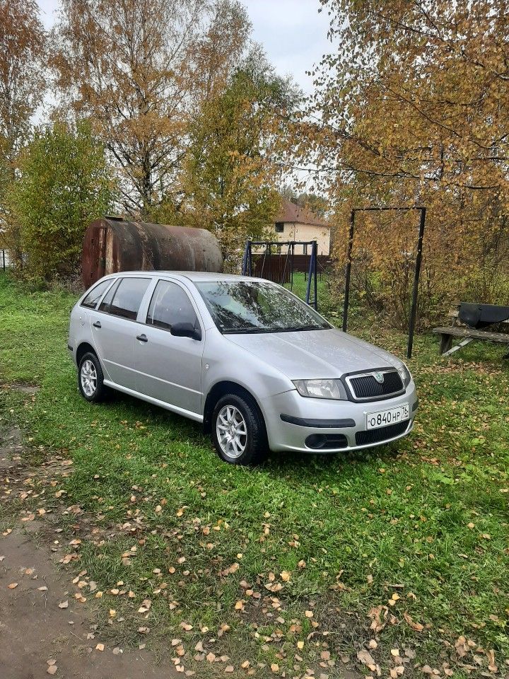 Skoda Fabia: фото владельца
