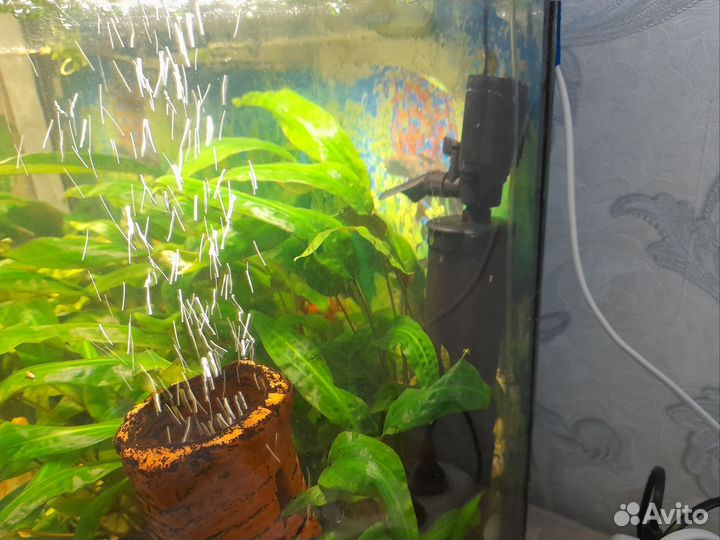 Аквариум 100 литров