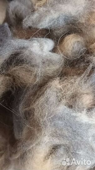 Собачья шерсть пух