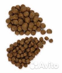 Корма Хиллс (Hills)