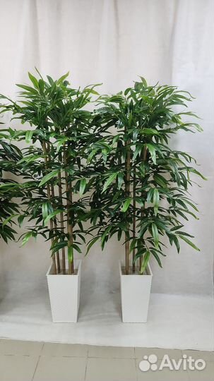 Бамбук Премиум искусственный цветок в подарок