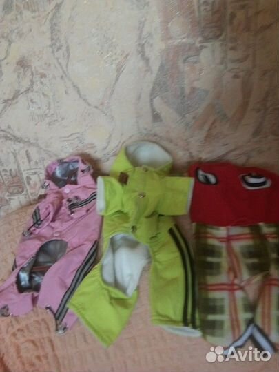 Одежда для собак