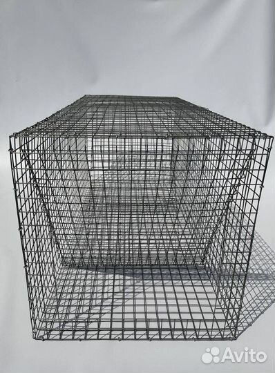 Ловушка для ласок,хорьков,котов