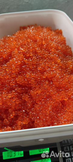 Красная икра