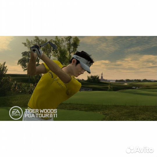 Tiger Woods Pga Tour 11, б/у, английский (Wii)