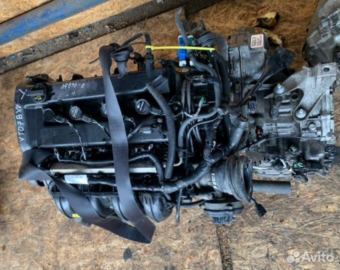 Двигатель Ford C-Max aoda 2.0 бензин (б/у)