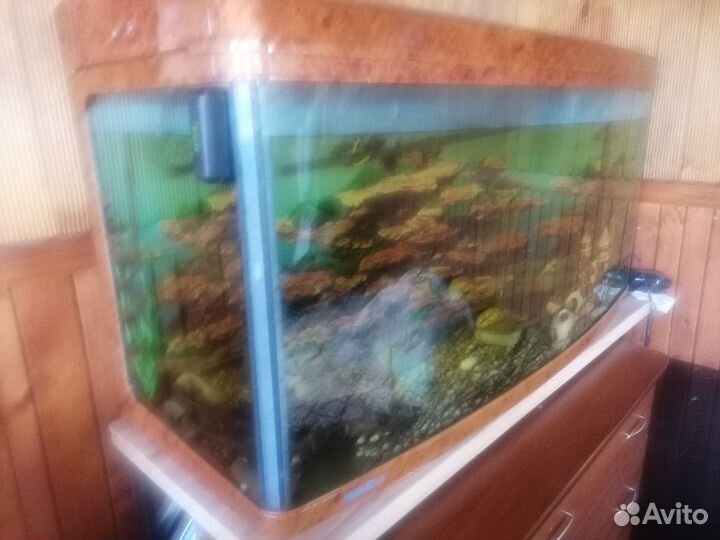 Аквариум