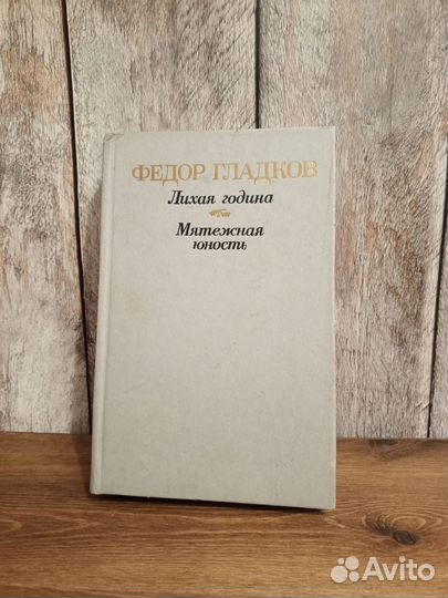 Федор Гладков - Лихая година. Мятежная юность