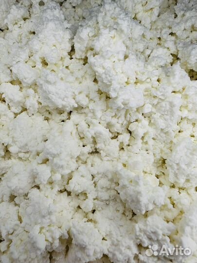 Свежий домашний творог