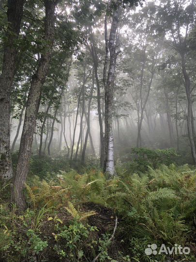 Таежная рыбалка на тайменя, река Бикин