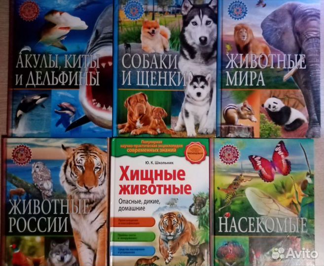 Детская энциклопедии