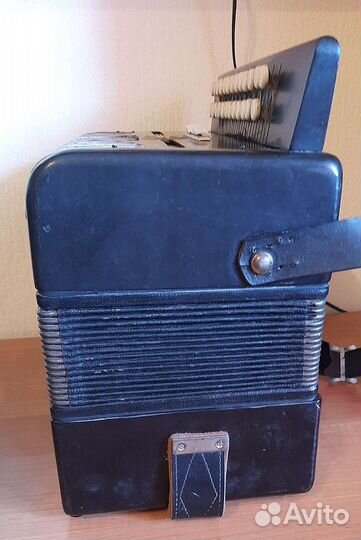 Гармонь Рябинушка