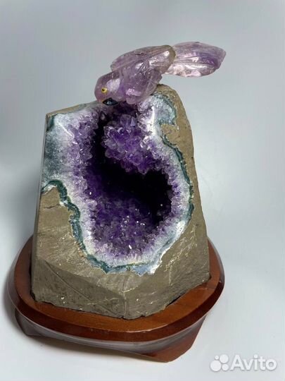 Аметист жеода с папугаем