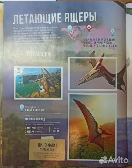 Альбом динозавры (Дикси)