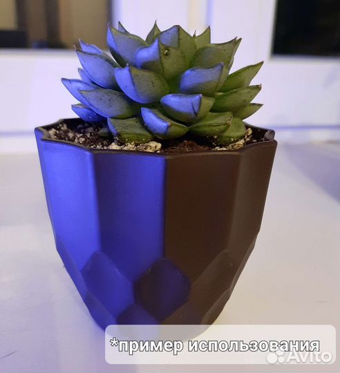Горшок для суккулентов, кактусов, мелких растений