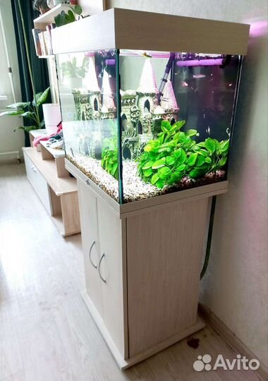 Аквариум 100л с тумбой, внеш.фильтром и декором