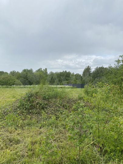 Участок 12 сот. (СНТ, ДНП)