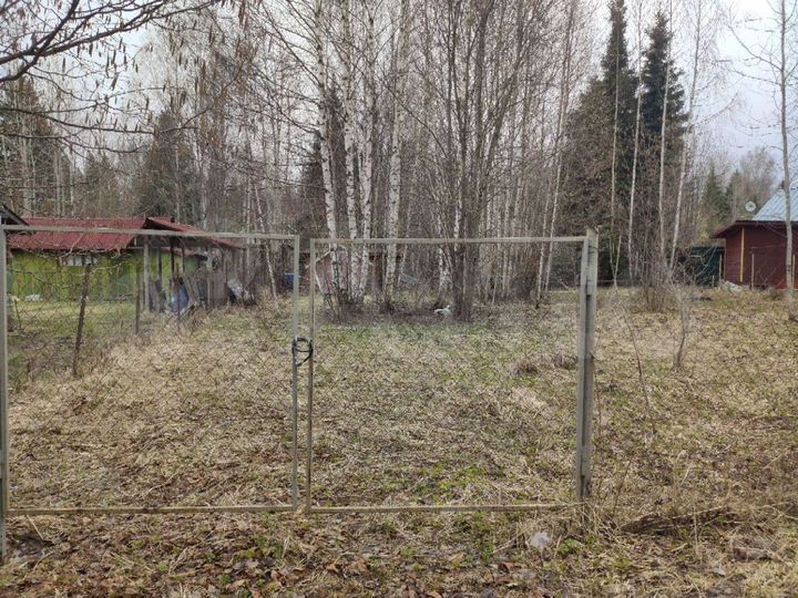 Участок 5,3 сот. (СНТ, ДНП)